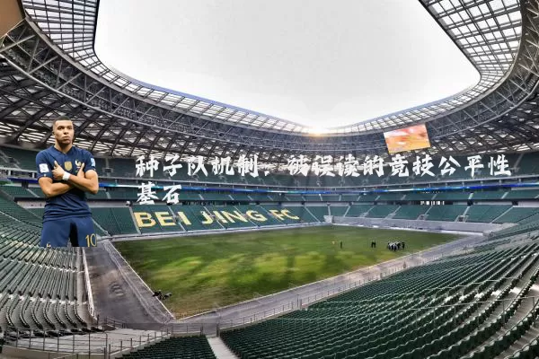 种子队机制:被误读的竞技公平性基石