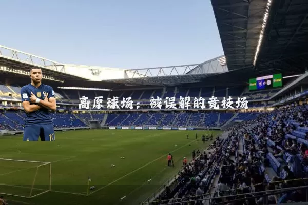 高原球场:被误解的竞技场
